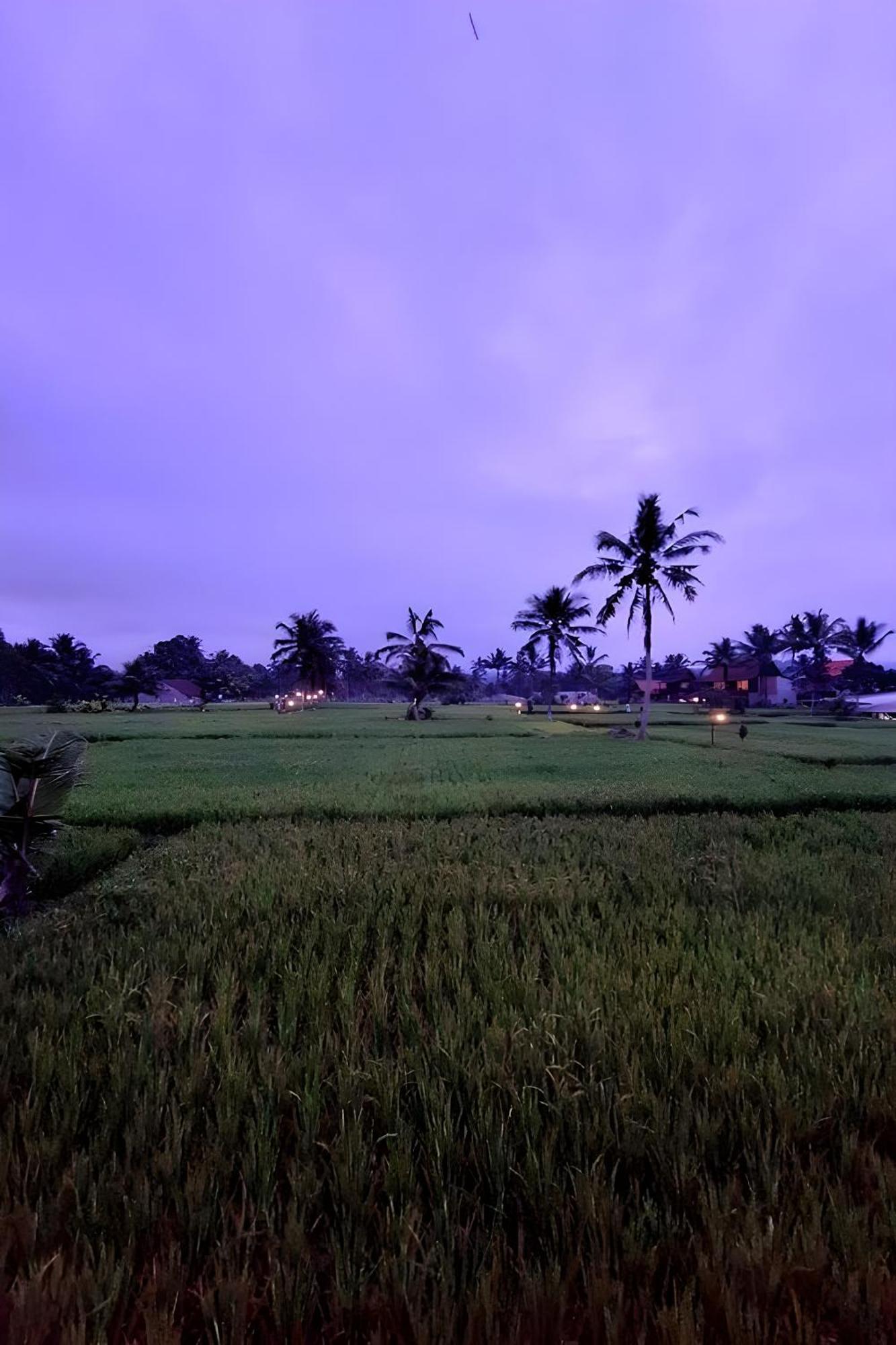 Lumbung Langit Bali House & Hostel Tampaksiring Εξωτερικό φωτογραφία