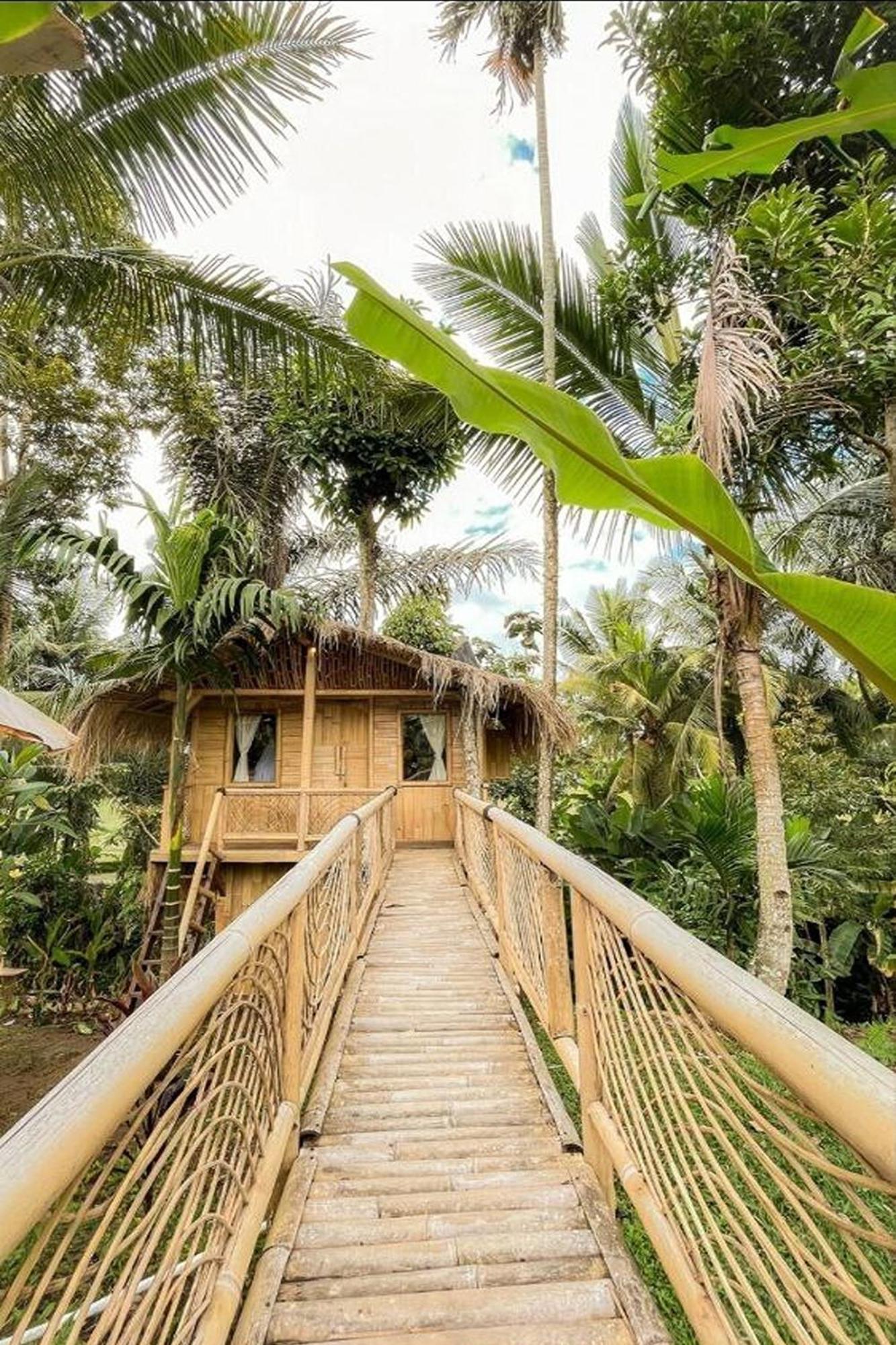 Lumbung Langit Bali House & Hostel Tampaksiring Εξωτερικό φωτογραφία