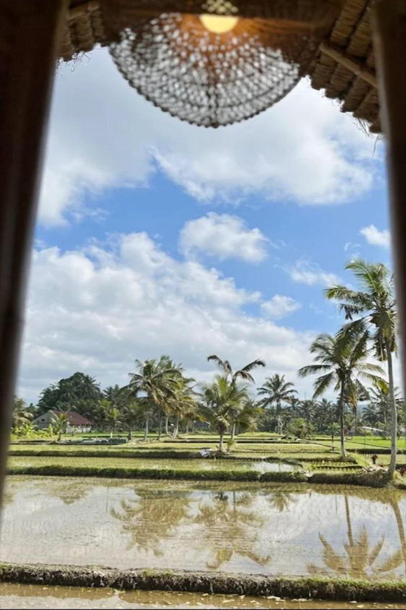 Lumbung Langit Bali House & Hostel Tampaksiring Εξωτερικό φωτογραφία